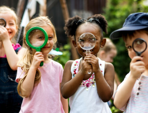 Niche-Specific MSP Target Campaign—Getting the Right Clients